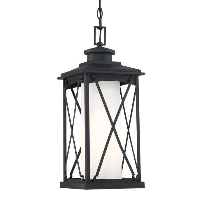 Minka Lavery Great Outdoors Lansdale 1 Light Outdoor Chain Hung Light-Coal