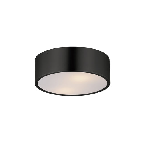 Maxim 10494WTBK Tommy 12" 2 Light Surface Mount | Black