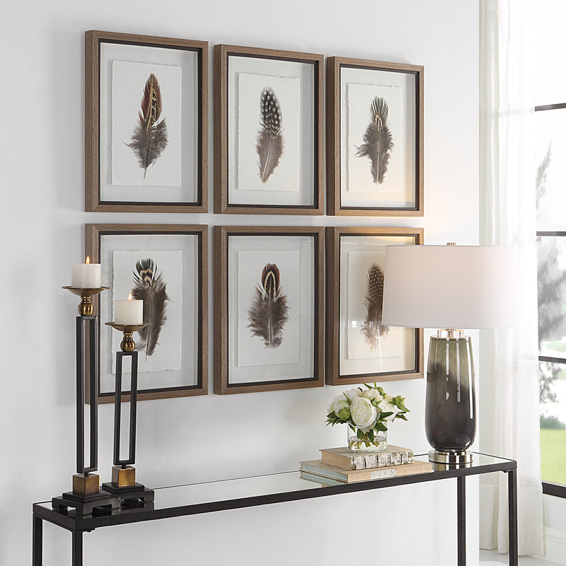 Uttermost Birds Of A Feather Framed Prints, S/6 - ALCOVE LIGHTING