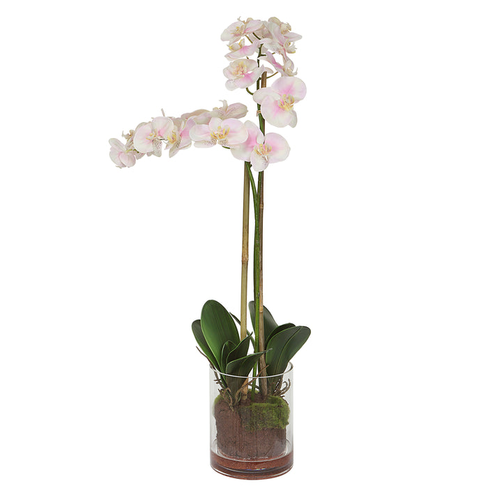 Uttermost Blush Pink And White Orchid