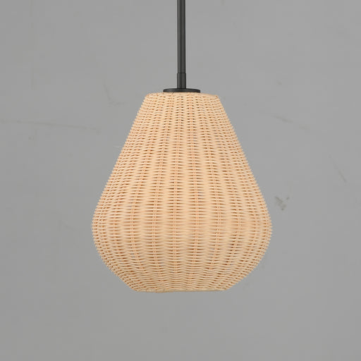 Maxim 12602NABK Maldives 1 Light Pendant | Black