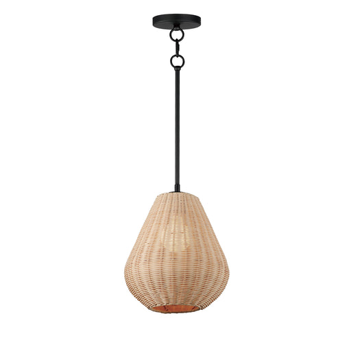Maxim 12602NABK Maldives 1 Light Pendant | Black