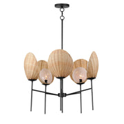 Maxim 12605NABK Maldives 5 Light Chandelier | Black