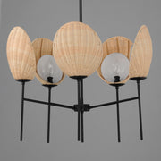 Maxim 12605NABK Maldives 5 Light Chandelier | Black