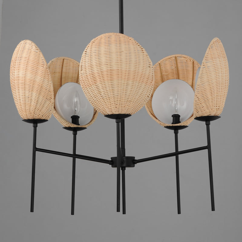 Maxim 12605NABK Maldives 5 Light Chandelier | Black