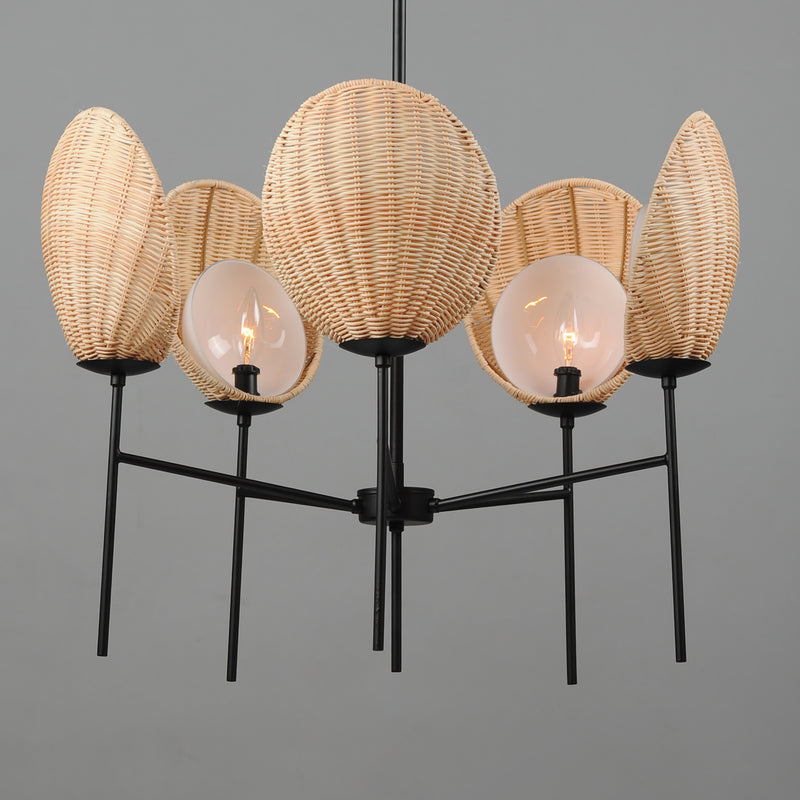 Maxim 12605NABK Maldives 5 Light Chandelier | Black