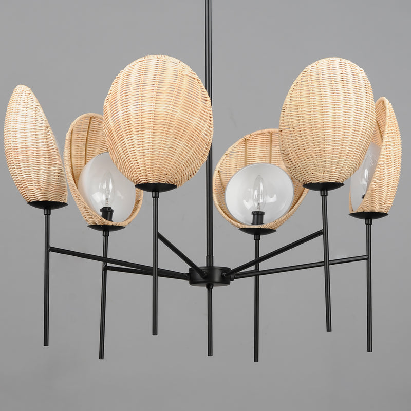 Maxim 12606NABK Maldives 6 Light Chandelier | Black