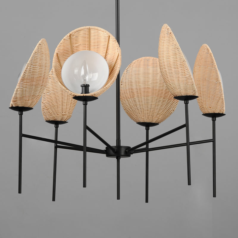 Maxim 12606NABK Maldives 6 Light Chandelier | Black