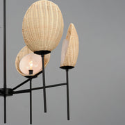 Maxim 12606NABK Maldives 6 Light Chandelier | Black