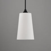Maxim 12886SWBK Hudson 1 Light Pendant | Black