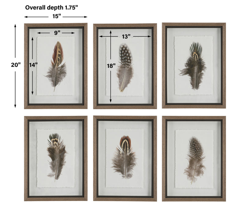 Uttermost Birds Of A Feather Framed Prints, S/6 - ALCOVE LIGHTING