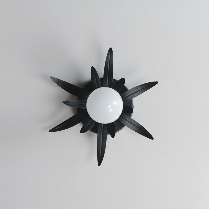 Maxim 2880AR Paloma 1 Light Sconce | Anthracite