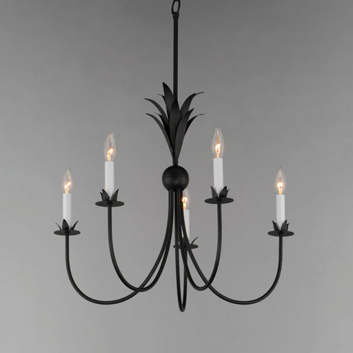 Maxim 2885AR Paloma 5 Light Chandelier | Anthracite