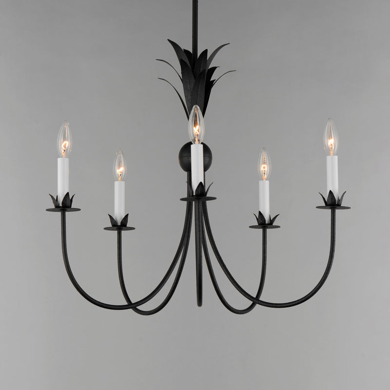 Maxim 2885AR Paloma 5 Light Chandelier | Anthracite