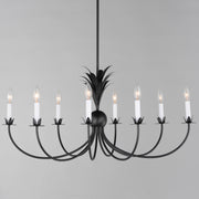 Maxim 2888AR Paloma 8 Light Chandelier | Anthracite