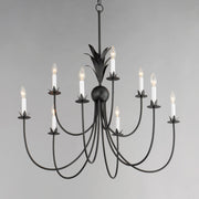 Maxim 2889AR Paloma 9 Light Chandelier | Anthracite