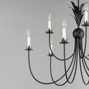 Maxim 2889AR Paloma 9 Light Chandelier | Anthracite