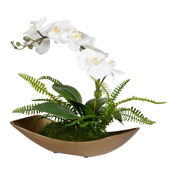 Uttermost Transcend Orchid Centerpiece