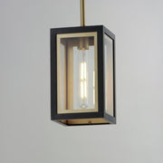Maxim 30051CLBKGLD Neoclass 1 Light Outdoor Pendant | Black / Gold