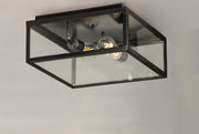 Maxim 30098CLDBZ Catalina 2 Light Outdoor Ceiling Mount | Dark Bronze