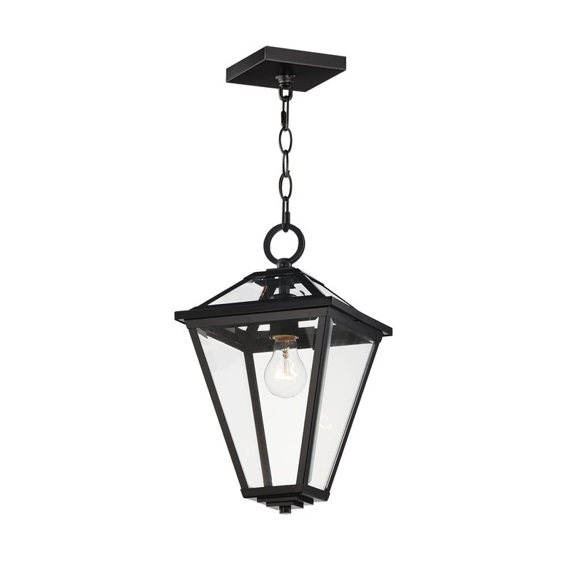 Maxim 30569CLBK Prism 16" Outdoor Pendant | Black