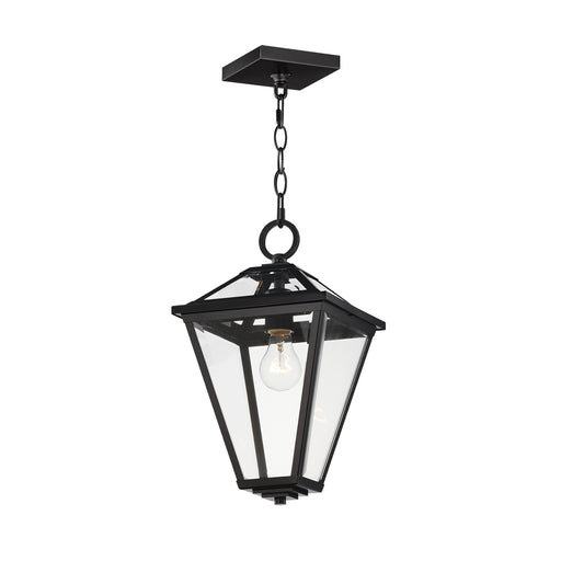 Maxim 30569CLBK Prism 16" Outdoor Pendant | Black