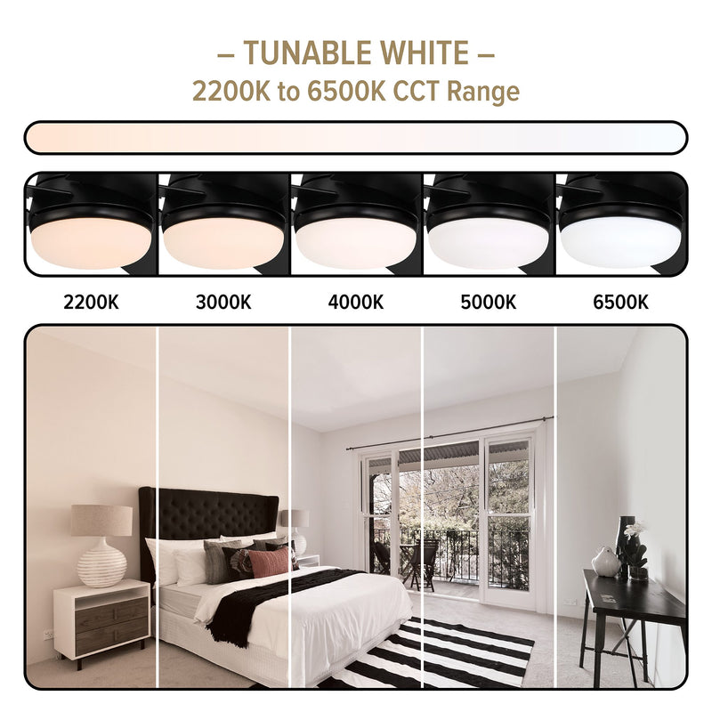 Astrea 52 in. Smart Matte Black Modern Ceiling Fan with LED Light and Remote