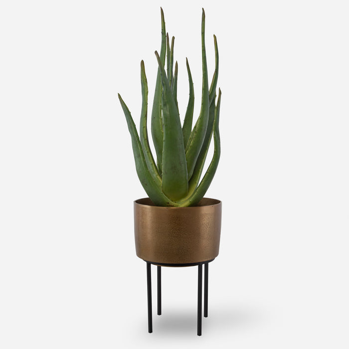 Uttermost Arabia Aloe Planter