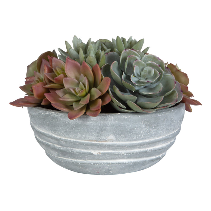 Uttermost Peoria Succulent Accent