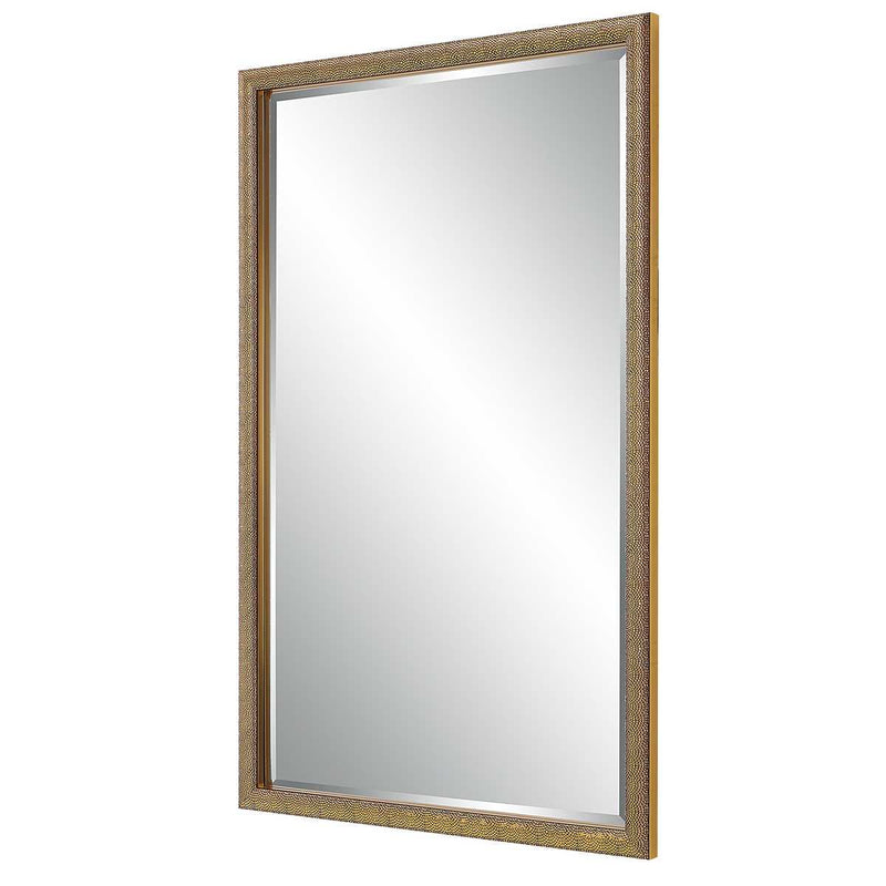Aspra Gold Mirror | Modern Rectangle Engineered Polymer Frame Bathroom Vanity Mirror Mounted Vertical or Horizontal (24 in. W x 40 in. H x 1 in. D)