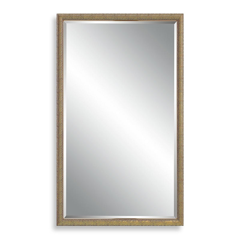 Aspra Gold Mirror | Modern Rectangle Engineered Polymer Frame Bathroom Vanity Mirror Mounted Vertical or Horizontal (24 in. W x 40 in. H x 1 in. D)
