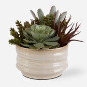 Uttermost Mesa Succulent Accent - ALCOVE LIGHTING