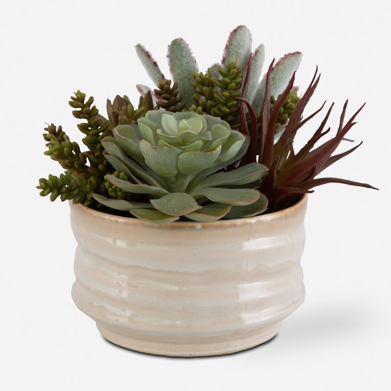 Uttermost Mesa Succulent Accent - ALCOVE LIGHTING