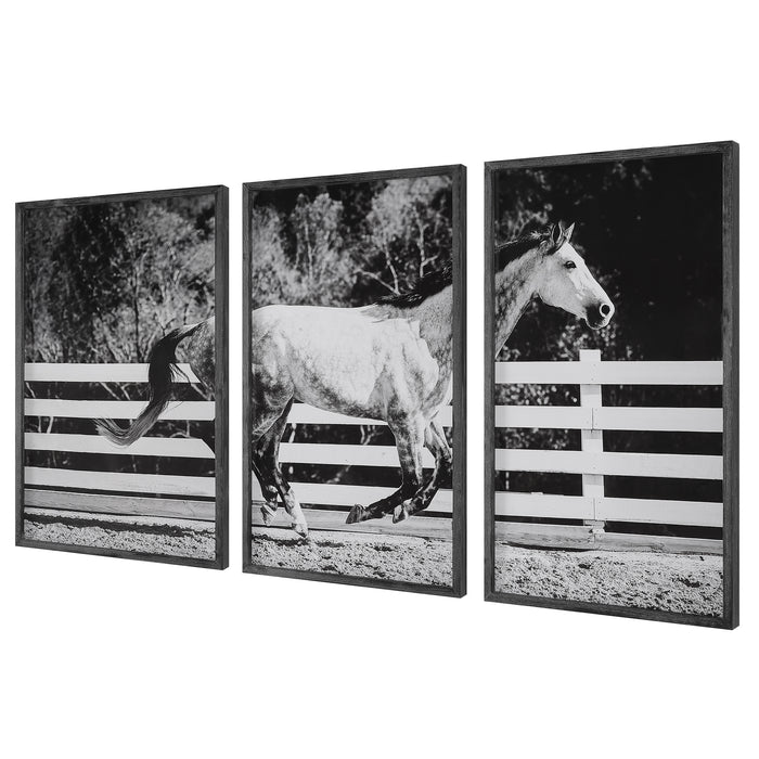 Uttermost Galloping Forward Equine Prints, Set/3