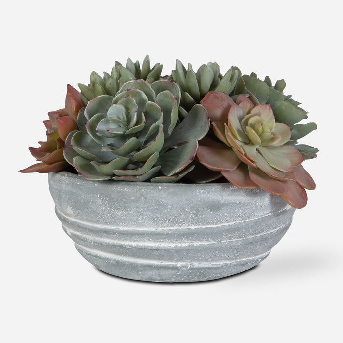 Uttermost Peoria Succulent Accent