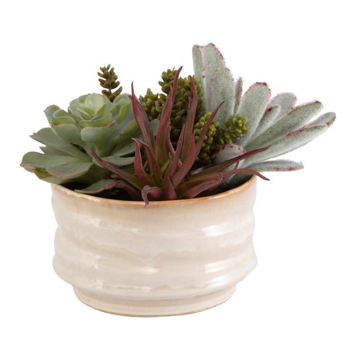 Uttermost Mesa Succulent Accent