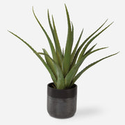 Uttermost Tucson Aloe Planter - ALCOVE LIGHTING