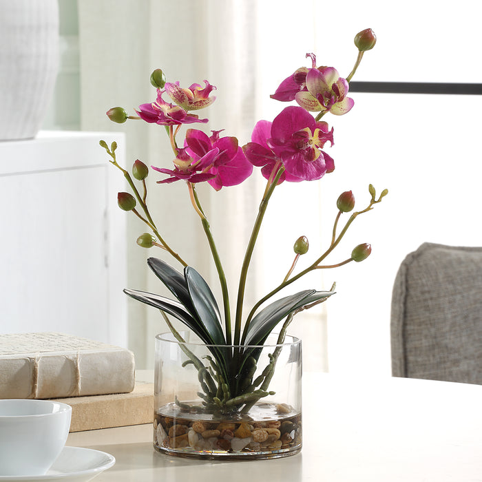 Uttermost Glory Fuchsia Orchid