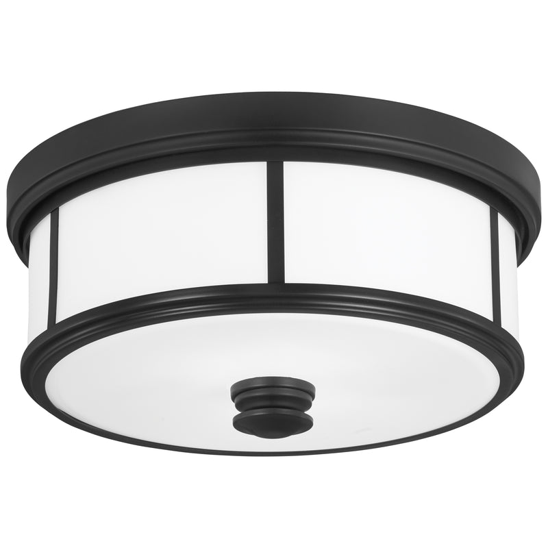 Minka Lavery Harbour Point 13.5" 2 Light Ceiling Light-Coal