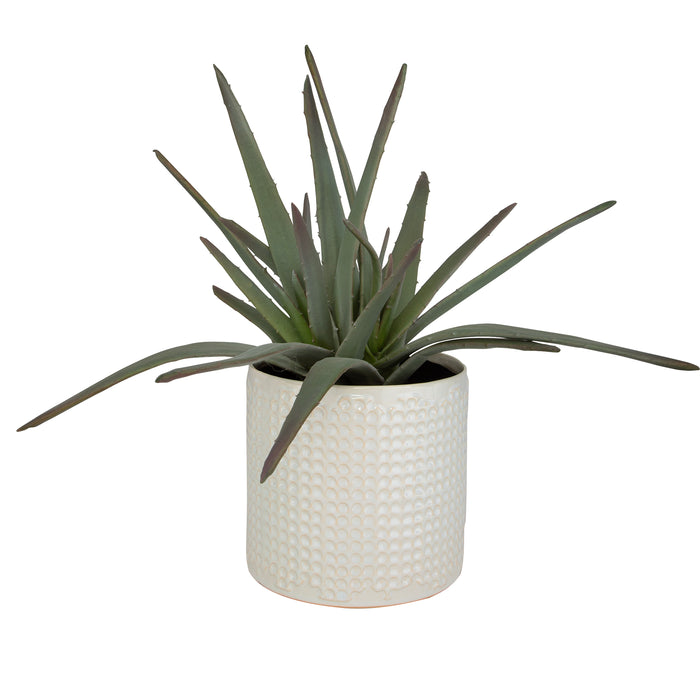 Uttermost Taos Aloe Centerpiece