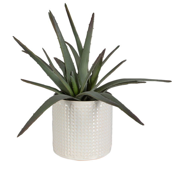 Uttermost Taos Aloe Centerpiece