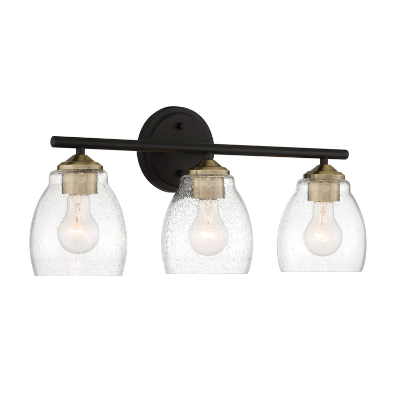 Minka Lavery Winsley 3 Light Bathroom Vanity Light-Coal And Stained Brass