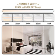 Cassini 52 in. Smart Matte White Modern Ceiling Fan with LED Light and Remote - ALCOVE LIGHTING