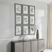 Uttermost 41617 Farmhouse Florals Framed Prints Set/9