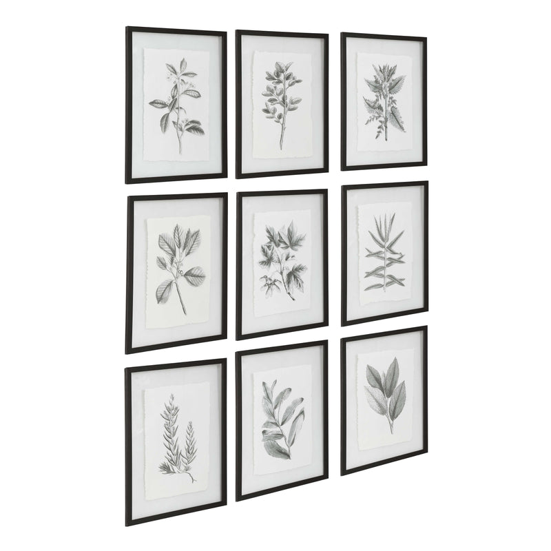 Uttermost 41617 Farmhouse Florals Framed Prints Set/9