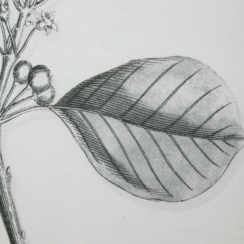 Uttermost 41617 Farmhouse Florals Framed Prints Set/9