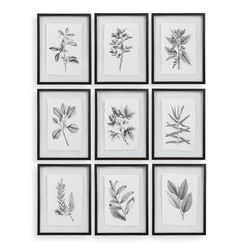 Uttermost 41617 Farmhouse Florals Framed Prints Set/9
