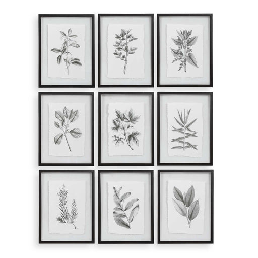 Uttermost 41617 Farmhouse Florals Framed Prints Set/9