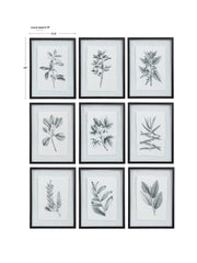 Uttermost 41617 Farmhouse Florals Framed Prints Set/9