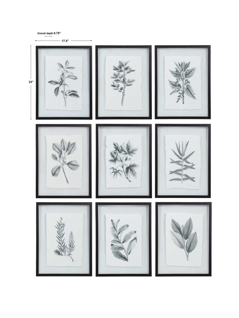 Uttermost 41617 Farmhouse Florals Framed Prints Set/9